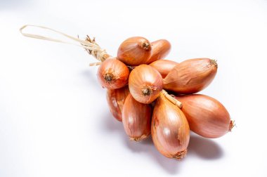 Fransa, Brittany 'den beyaz arka planda Fransız arpacık soğanı.