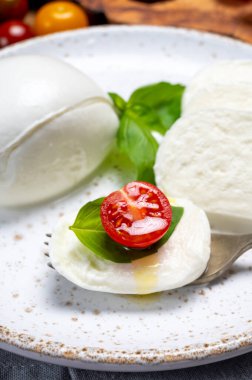 Peynir koleksiyonu, beyaz İtalyan peyniri mozzarellası yemek, kırmızı vişneli domates ve taze fesleğen yapraklarıyla servis edilmek.