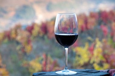 Douro Vadisi 'nde üretilen bir bardak Portekiz kırmızı şarap ve sonbaharda arka planda renkli eski üzüm bağları, Portekiz' in şarap bölgesi.