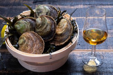 Yiyecek ve içecek eşleştirme, İngiltere 'de Belon nehri, Fransa' da yetişen taze çiğ Avrupa istiridyeleri, İskoçya 'nın Islay Adası' ndan tek malt viski ve viski.