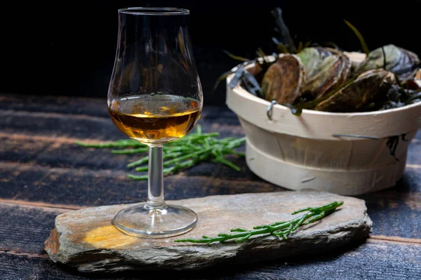 Food and drink pairing, Fresh raw European flat oysters grown in Brittany in Belon river, France, close up and scotch single malt whisky from Islay island, Scotland