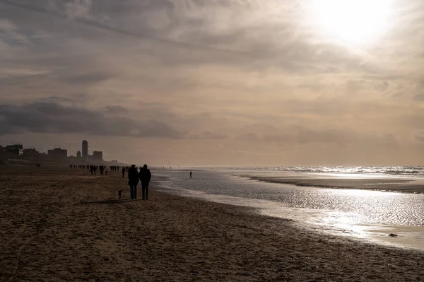 Unidentified People Walking Wide Sandy Beach North Sea Zandvoort Netherlands — Stock Photo, Image