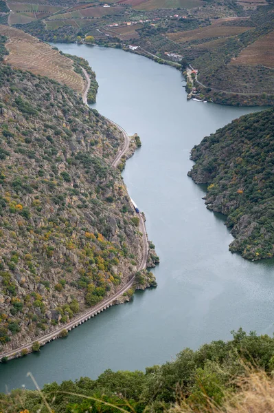 Portekiz 'in kuzeyinde, sonbaharda teraslı üzüm bağları ve yeşil tepeleri olan Douro Nehri Vadisi' nin manzarası