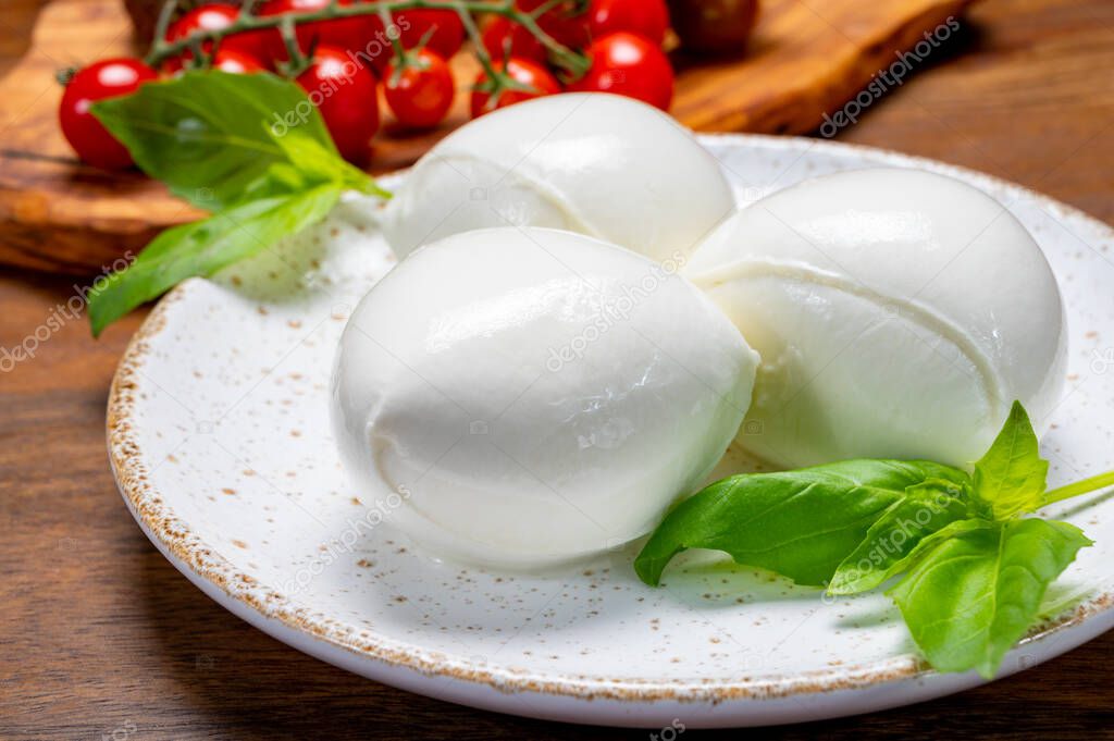 Cheese collection, white balls of soft Italian cheese mozzarella, served with red cherry tomatoes, fresh basil leaves close up