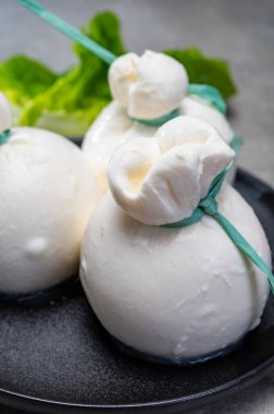 Peynir koleksiyonu, Puglia 'dan taze İtalyan peyniri, beyaz burrata topları veya mozzarella ve kremadan yapılmış burratina peyniri.