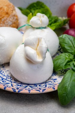 Peynir koleksiyonu, Puglia 'dan taze el yapımı İtalyan peyniri, beyaz burrata topları veya mozarella ve kremadan yapılmış burratina peyniri.