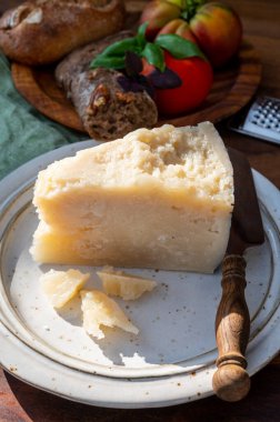Peynir koleksiyonu, yıllanmış İtalyan koyun peyniri Sicilya adasından kara pecorino ya da pecorino nero di Sicilya yakın plan