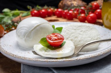 Peynir koleksiyonu, beyaz İtalyan peyniri mozzarellası yemek, kırmızı vişneli domates ve taze fesleğen yapraklarıyla servis edilmek.
