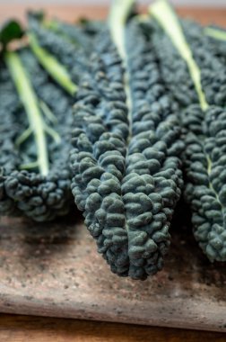 Siyah yassı cavolo nero tuscan lahanasıyla vejetaryen yemekleri.