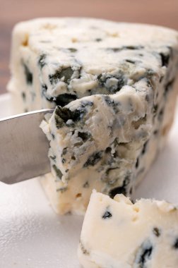 Peynir koleksiyonu, bir parça yumuşak Fransız rokforu. Yakın çekim.