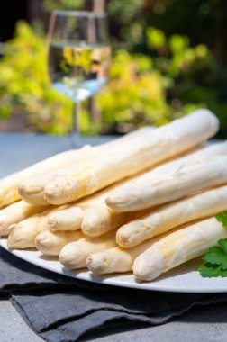 Hollandalı çiftçiler yüksek kaliteli ürünler, taze beyaz kuşkonmaz ve baharda güneşli bahçede bir bardak beyaz şarap.