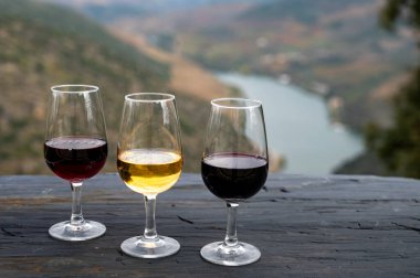 Portekiz tahkim edilmiş tatlı ve porto şarabı tatma, Douro nehri ile Douro Vadisi 'nde üretilen ve sonbaharda arka planda renkli teraslı üzüm bağları, Portekiz