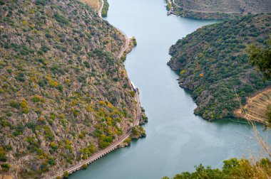 Portekiz 'in kuzeyinde, sonbaharda teraslı üzüm bağları ve yeşil tepeleri olan Douro Nehri Vadisi' nin manzarası