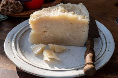 Peynir koleksiyonu, yıllanmış İtalyan koyun peyniri Sicilya adasından kara pecorino ya da pecorino nero di Sicilya yakın plan