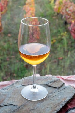 Douro Vadisi 'nde üretilen beyaz Portekiz şarabı ve sonbaharda arka planda renkli eski üzüm bağları, Portekiz' in şarap bölgesi