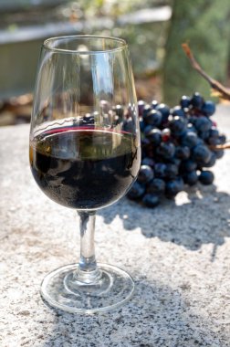 Portekiz 'de sonbaharda Douro Vadisi' nde üretilen tahkim edilmiş tatlı ve liman şarabı tatma