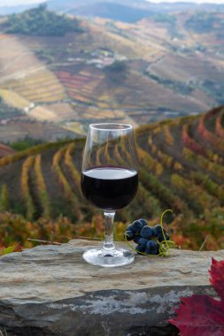 Tasting of Portuguese fortified dessert and dry port wine, produced in Douro Valley with colorful terraced vineyards on background in autumn, Portugal clipart