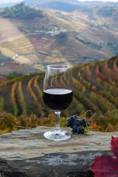 ポルトガルの強化されたデザートとドライポートワインの試飲 秋に背景にカラフルな段々畑のブドウ園とドゥオーバレーで生産 ポルトガル — ストック写真