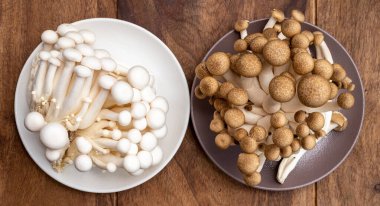 Doğu Asya 'ya özgü beyaz ve kahverengi shimeji mantarları, ona-shimeji yaygın olarak yetiştirilmiş ve umami tatma bileşikleri açısından zengindir.