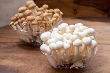 Doğu Asya 'ya özgü beyaz ve kahverengi shimeji mantarları, ona-shimeji yaygın olarak yetiştirilmiş ve umami tatma bileşikleri açısından zengindir.