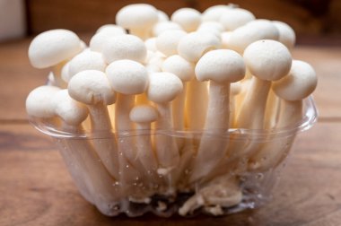 Doğu Asya 'ya özgü beyaz ve kahverengi shimeji mantarları, ona-shimeji yaygın olarak yetiştirilmiş ve umami tatma bileşikleri açısından zengindir.