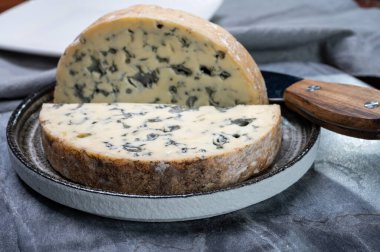 Peynir koleksiyonu, bir parça Fransız küflü peyniri...