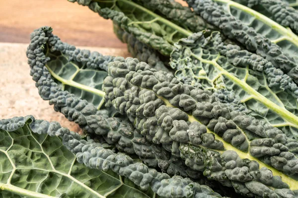 Vegetarian cooking with black flat leaves of cavolo nero tuscan cabbage