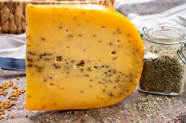 Peynir koleksiyonu, bir parça sert sarı Hollanda gouda peyniri kurutulmuş sazan ya da kimyon tohumu yakın çekim