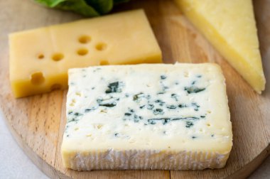 Peynir koleksiyonu, küçük delikli Fransız fol epi peyniri, etorki, tomme noire des pyrenees ve ossau iraty peynirleri