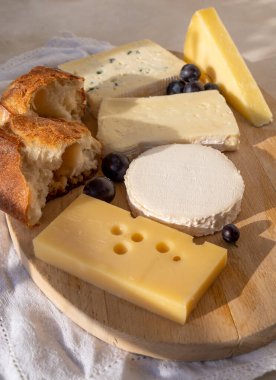 Mermer tahtada Fransız peyniri koleksiyonu, emmental, carre de aurillac, petit cantal AOP Jeune, buche chevre ve brie