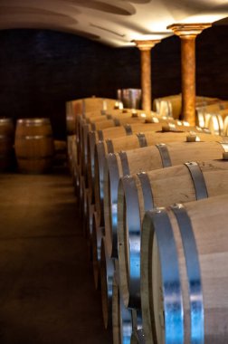 Fransa 'nın güneyinde, Collobrieres, Provence bölgesi yakınlarındaki Cotes de Provence' de şarap mahzeninde şarap fıçıları bulunan mağara, Fransa 'da kırmızı ve gül şarabı üretimi