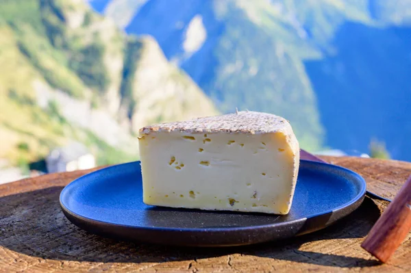 奶酪系列 法国番茄或土豆泥奶酪 夏天背景下 在阿尔卑斯山顶上的户外供应 — 图库照片