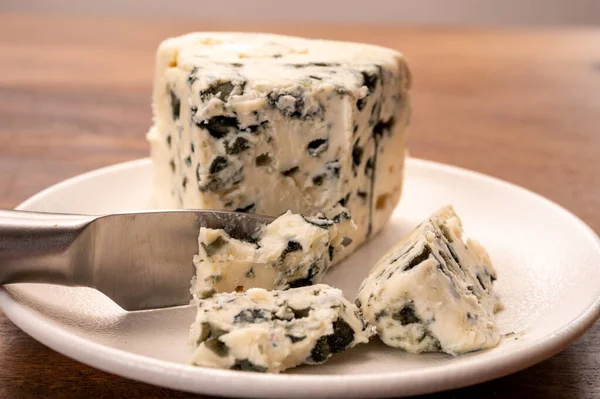 奶酪系列 一块柔软的法国蓝奶酪 — 图库照片