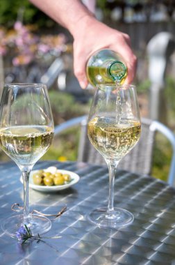 Güneşli bir günde bahar bahçesinde açık terasta beyaz şarap içmek.