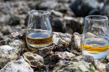 Malt ya da karışık viski tatmak ve deniz yatağında algler, taşlar ve istiridyelerle arka planda, İskoçya, İngiltere 'de özel viski damıtma turları yapmak.