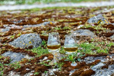 Arka planda tek malt ya da harmanlanmış viski, taş ve çiçek tatma, İskoçya, İngiltere 'de özel damıtma viski turları