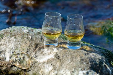 Tasting of single malt or blended Scotch whisky and blue sea with stones and oysters on background, private whisky tours in Scotland, UK clipart