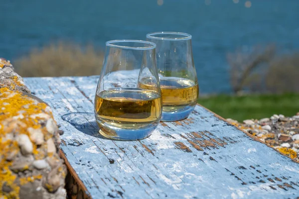 シングルモルトの試飲とスコットランドのウイスキーと青い海 海や川の景色 スコットランドのプライベートウィスキーツアー — ストック写真
