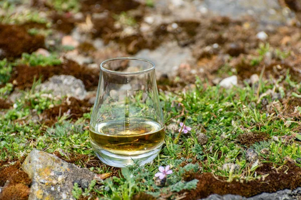 Γεύση Single Malt Blended Scotch Whisky Και Rocks Flowers Στο — Φωτογραφία Αρχείου