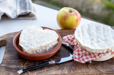 Peynir koleksiyonu, Normandiya 'dan Fransız peyniri, yuvarlak camembert peyniri ve açık havada güneşli bir günde servis edilen kalp şeklinde neufchatel.
