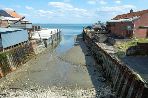 Oysters Growing Systems Keeping Oysters Concrete Oyster Pits Stored Crates — Stock Photo, Image