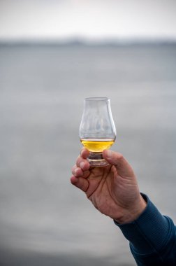 İskoçya 'da deniz kıyısında el ele tutuşmuş viski.