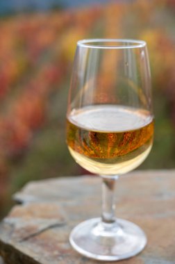 Portekiz tahkim edilmiş tatlı ve porto şarabı tatma, Douro Vadisi 'nde üretilen renkli teraslı üzüm bağlarıyla sonbaharda, Portekiz