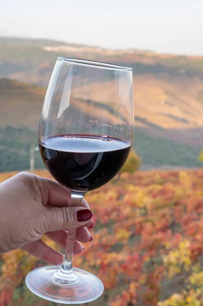 ポルトガル赤ワインのグラス ドゥオーバレーで生産し 秋に背景にカラフルな古い段々畑 ポルトガルのワイン地域 — ストック写真