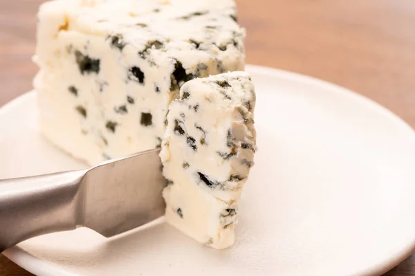 奶酪系列 一块柔软的法国蓝奶酪 — 图库照片