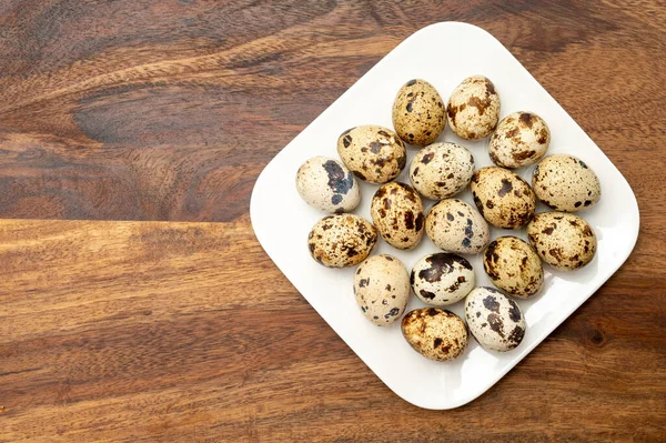 Fresh Small Spotted Partridge Eggs White Board Close — Stock Photo, Image