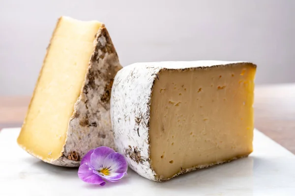 奶酪系列 法国阿尔卑斯山萨沃伊地区的Tomme Savoie奶酪 米色内饰的温和奶牛乳酪和浓密的褐色灰色皮毛 — 图库照片