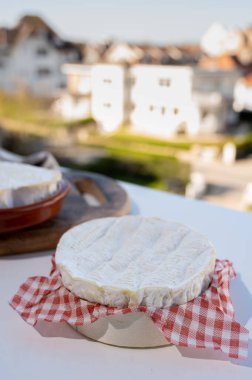 Peynir koleksiyonu, Normandiya 'dan Fransız peyniri, yuvarlak camembert peyniri ve açık havada güneşli bir günde servis edilen kalp şeklinde neufchatel.