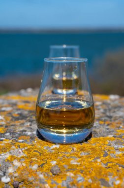 Tek malt viski ve karışık viski tadı mavi deniz, okyanus ya da nehir manzaralı, İskoçya, İngiltere 'de özel viski turları