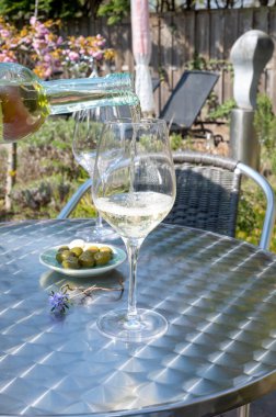 Güneşli bir günde bahar bahçesinde açık terasta beyaz şarap içmek.